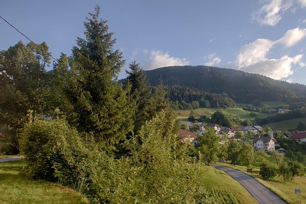 Gostilna Pension Blegos Poljane nad Skofjo Loko Exterior photo